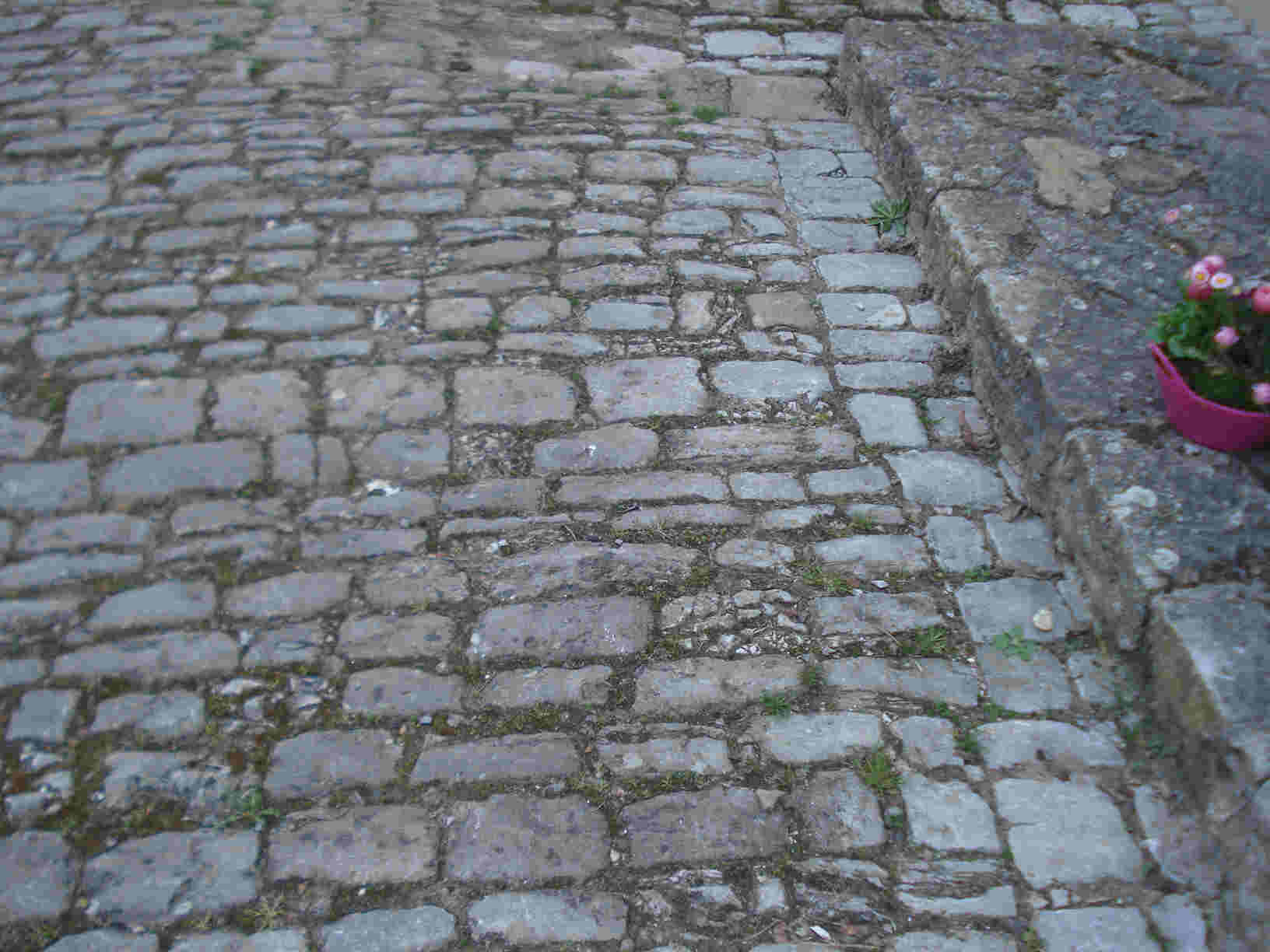 Darstadt Kopfsteinpflaster im Schloßbereich