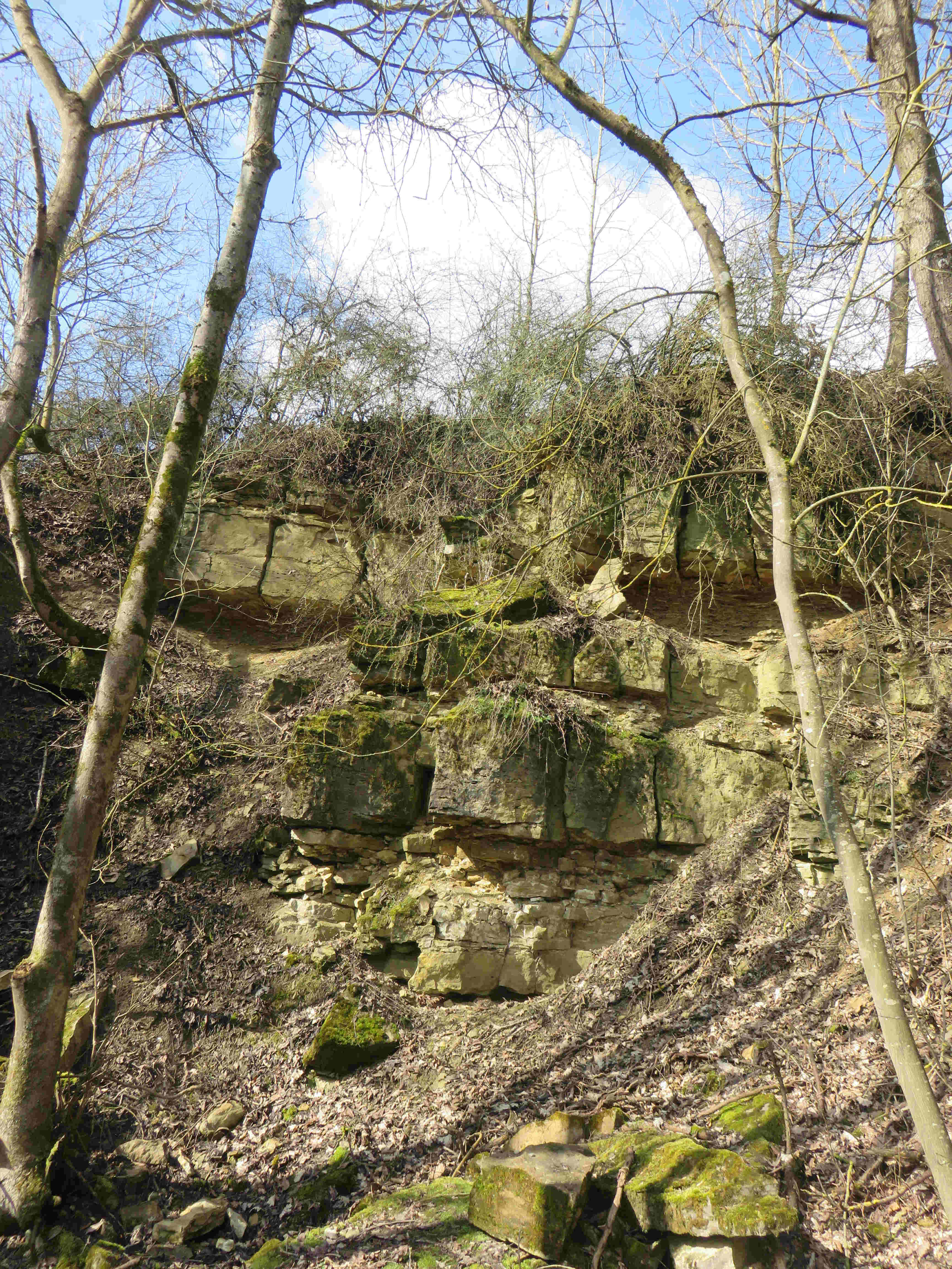 Steinbruch in Darstadt