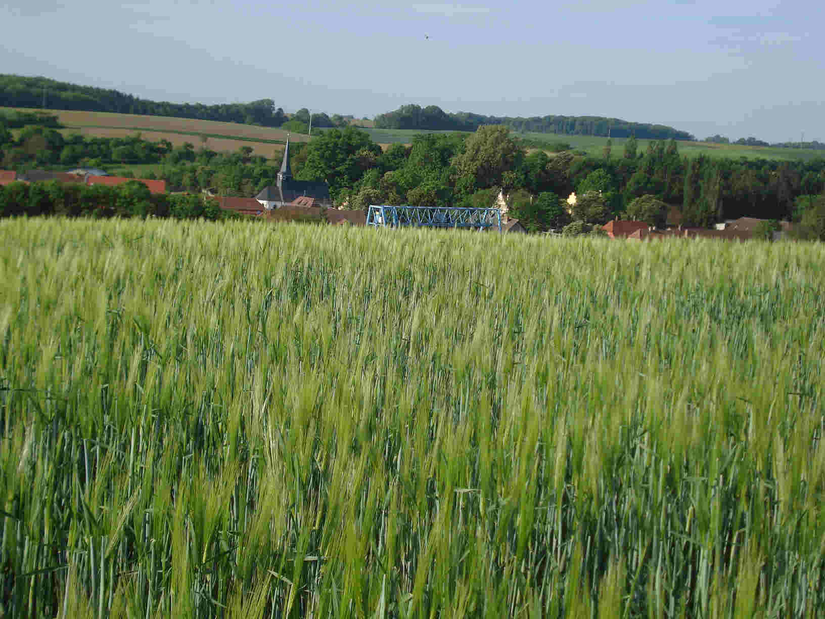 Darstadt Gerstenfeld