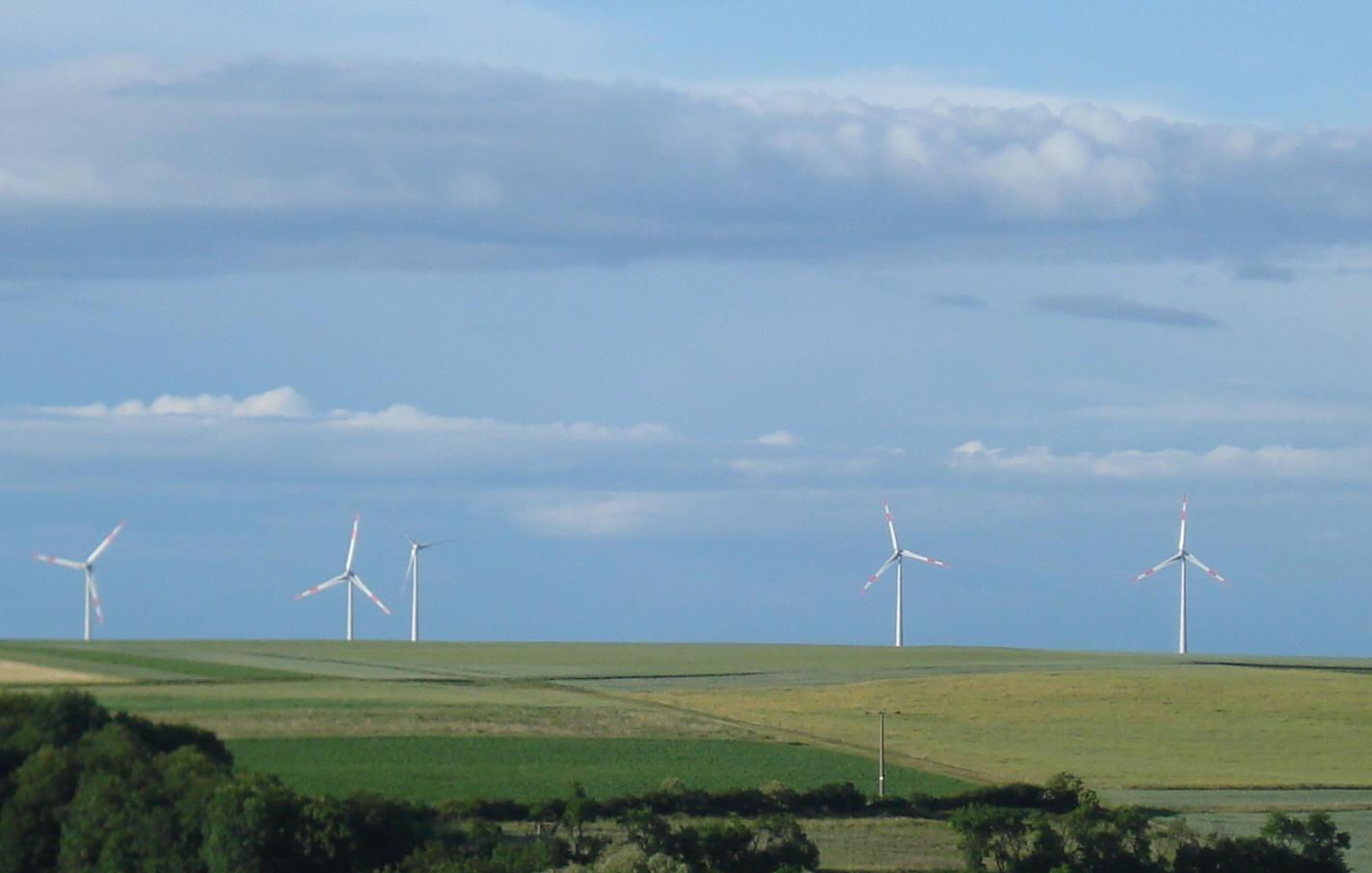 Die 5 Erlacher Windräder