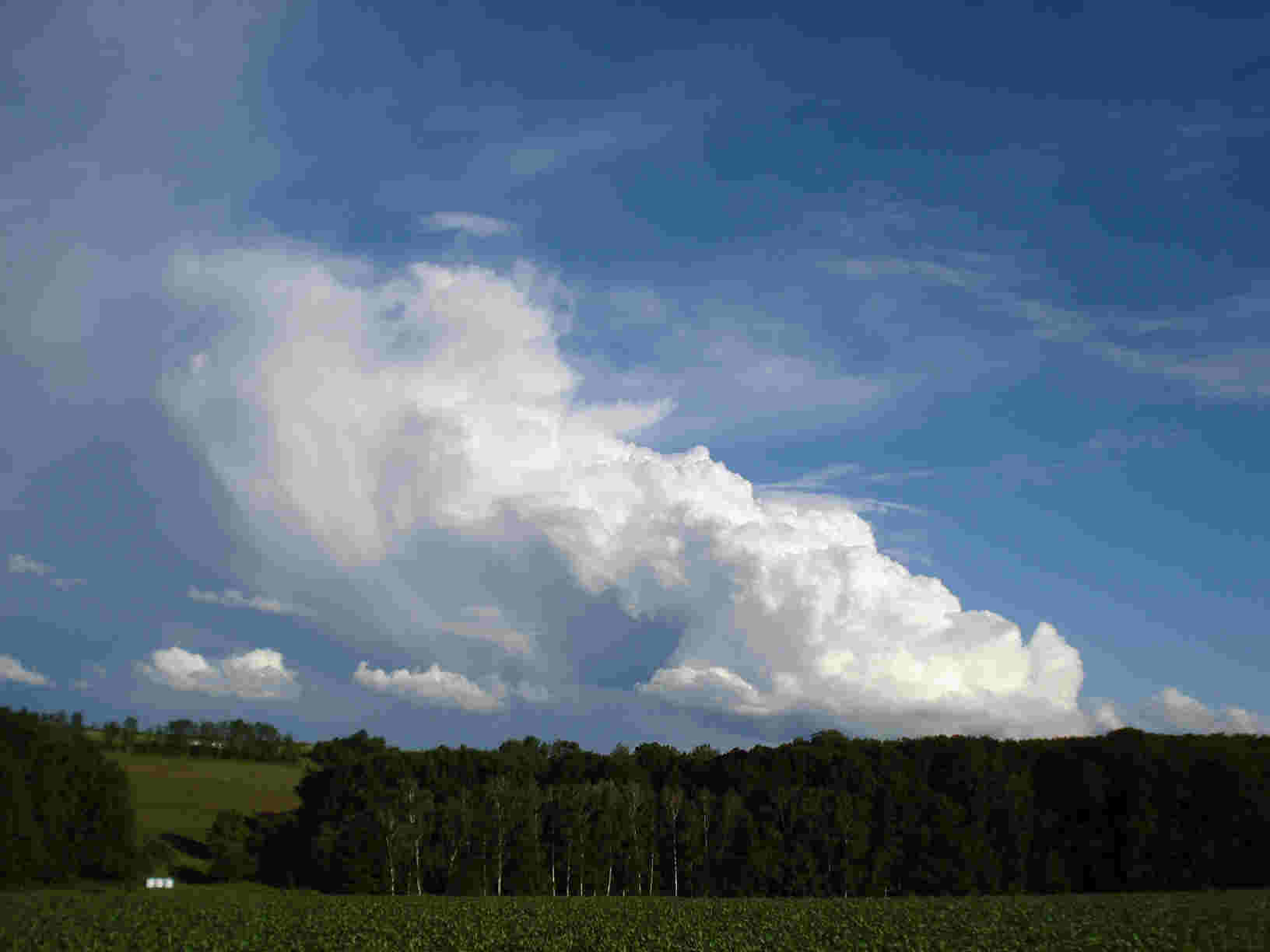 Darstadt Wald am Muckenbach